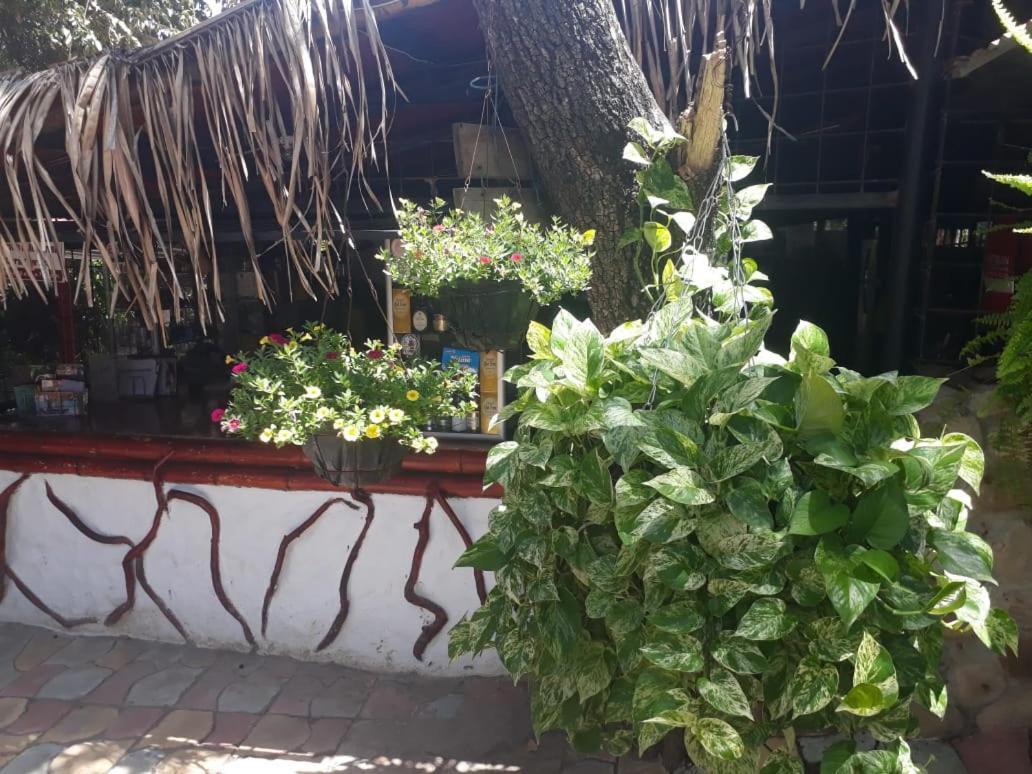 El Penon De Constantino - Tatacoa Hotel Villavieja Buitenkant foto